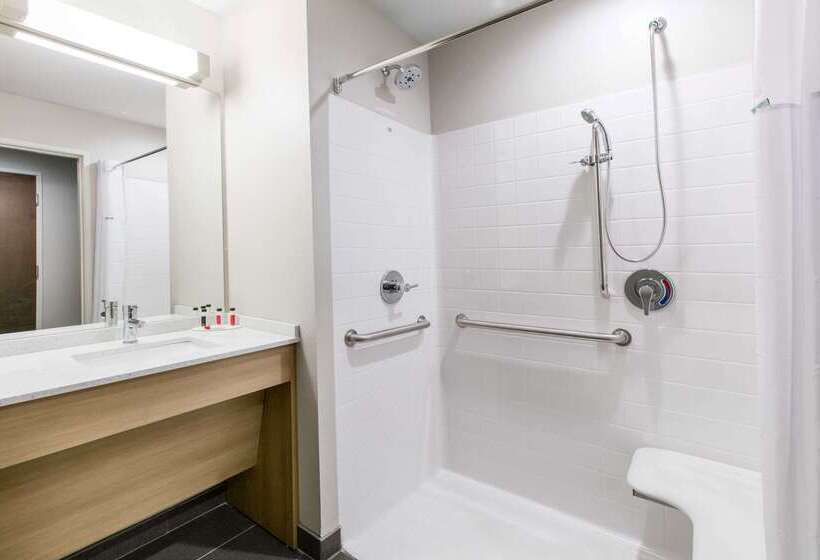 Microtel Inn & Suites By Wyndham Lubbock