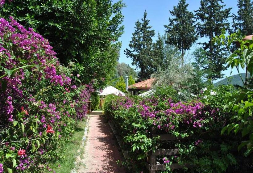 Alya Hotel Göcek