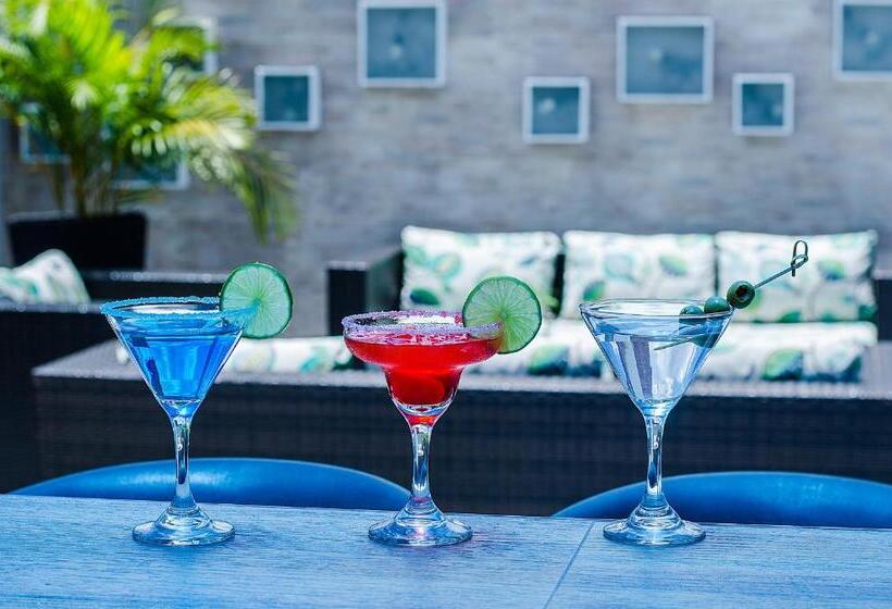 هتل Laureles Plaza