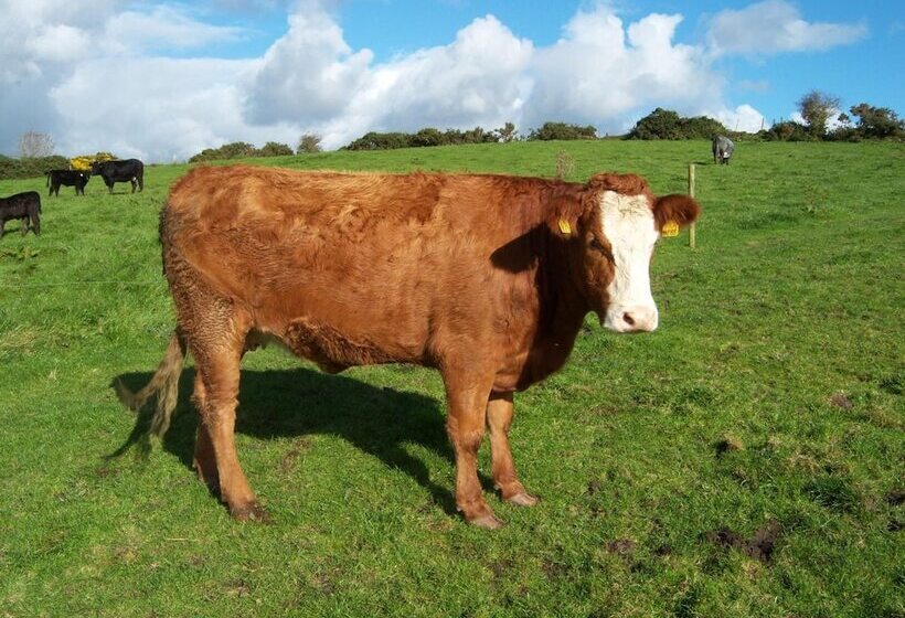 مبيت وإفطار Valley Lodge