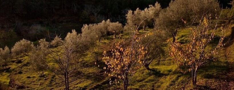 호텔 Akassa Alojamientos Bioclimáticos