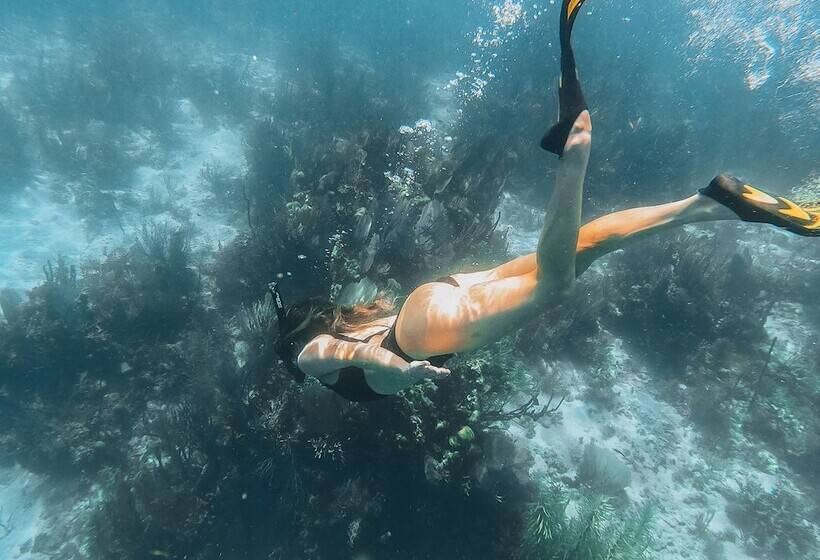 בית מלון כפרי Naia Resort And Spa