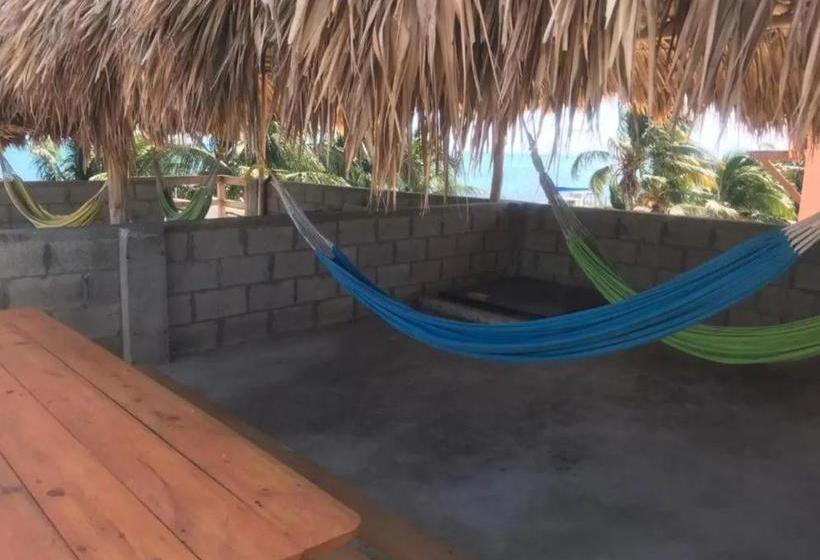 בית מלון כפרי The Beach Club Resort At Caye Caulker