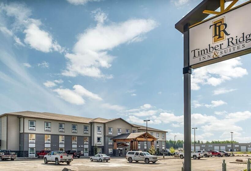 בית מלון כפרי Timber Ridge Inn And Suites