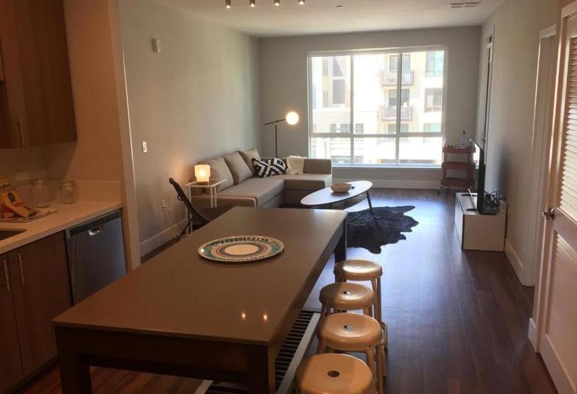 هتل Kasa Santa Clara North