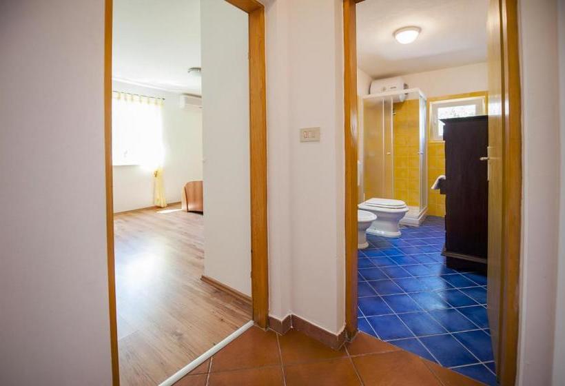 酒店 Apartments Villa Borik