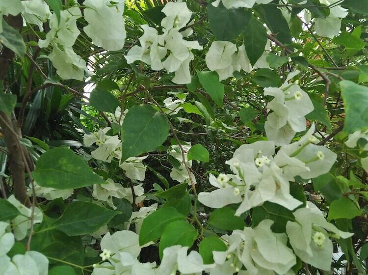 Hotel Khaolak Tusneem Resort