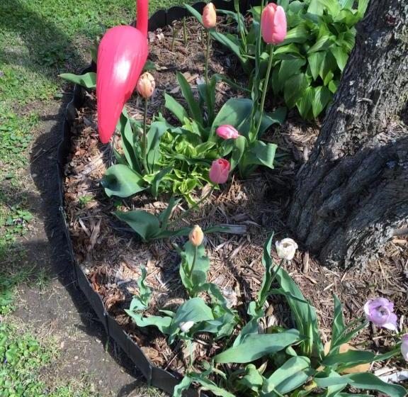 호텔 Mayberry Haven