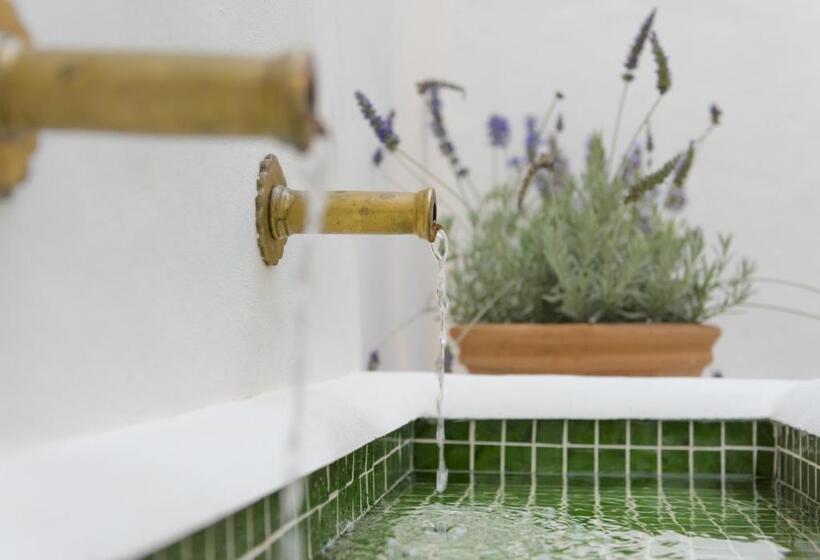 호텔 Casa Shelly Hospederia