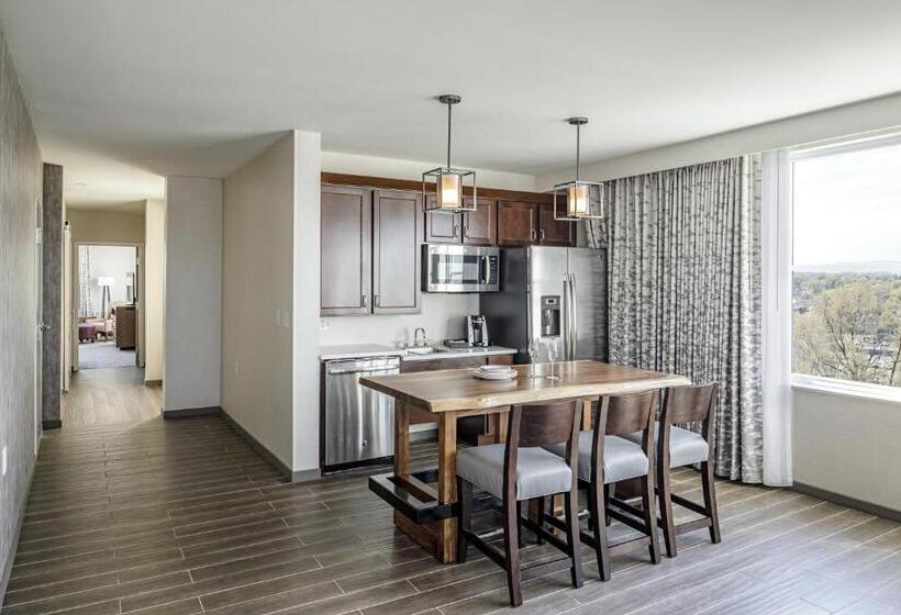 호텔 Madison & Shenandoah Conference Ctr