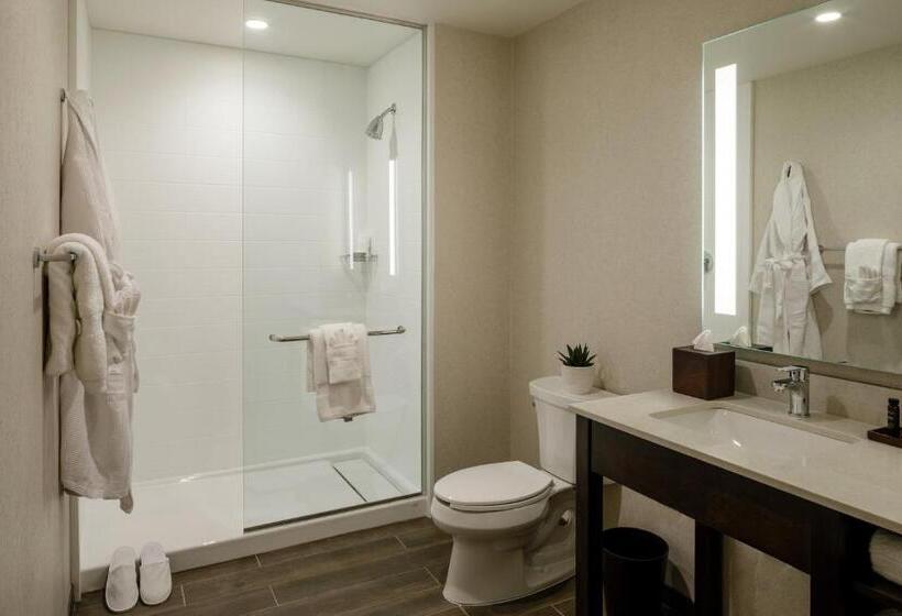 호텔 Madison & Shenandoah Conference Ctr