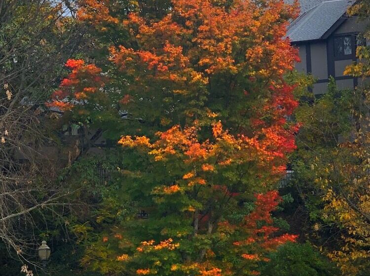 فندق Abigail S Bed And Breakfast Inn