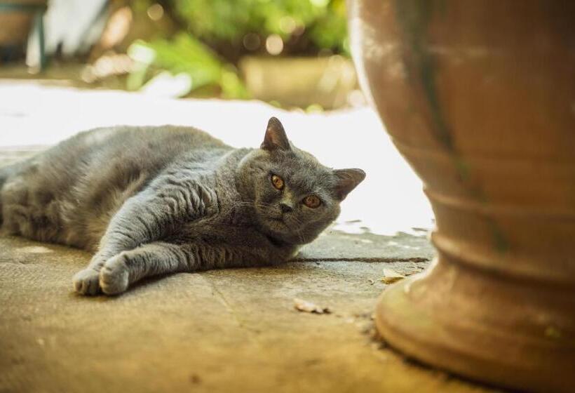 فندق Les Jardins De Baracane