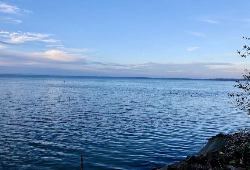 Отель Royal Mediterran