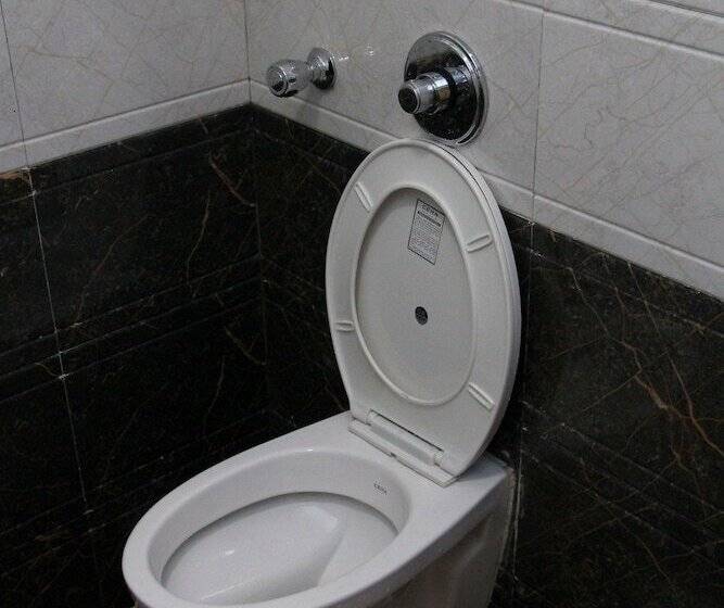 Hotel Swaraj The Goan Dream