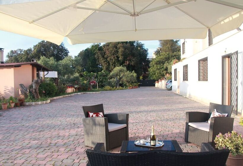 هتل B&b La Terrazza Di Frascati