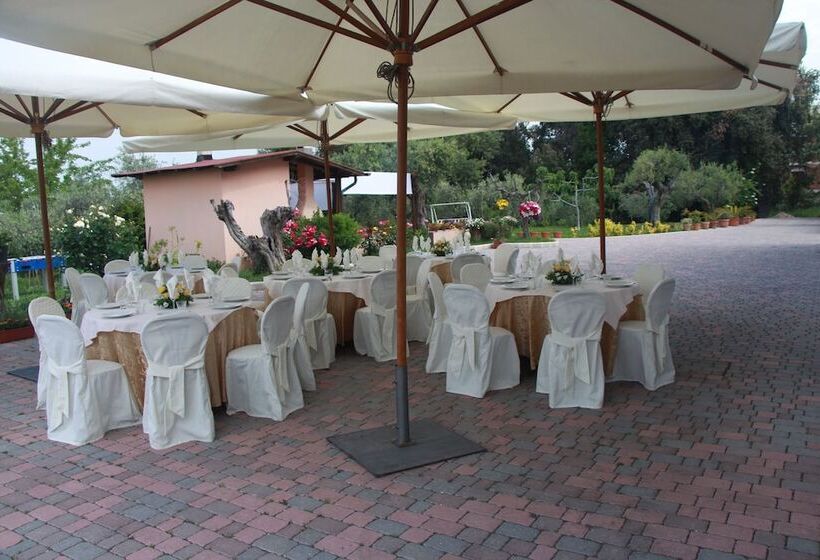 هتل B&b La Terrazza Di Frascati