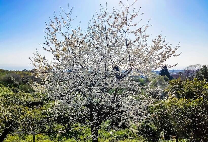 هتل Villa Feluchia Tra Il Mare E Il Vulcano