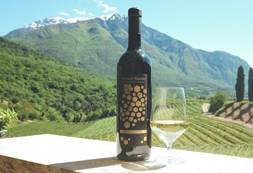 هتل Agritur Casteller