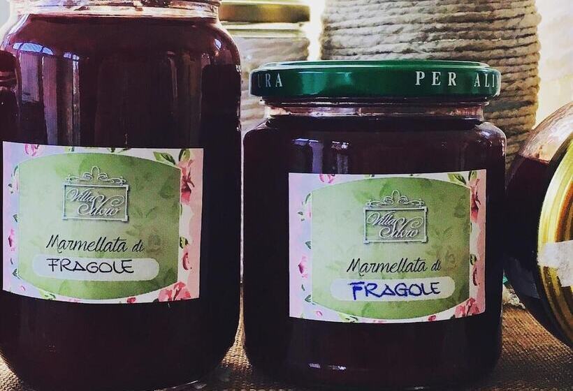 فندق Villa Silvio