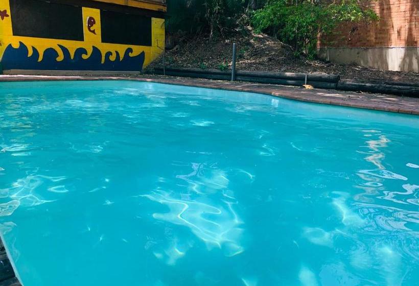 فندق Yellow Submarine Backpackers