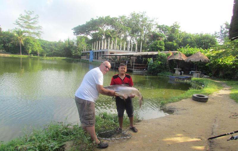 בית מלון כפרי Mountain View Guest House
