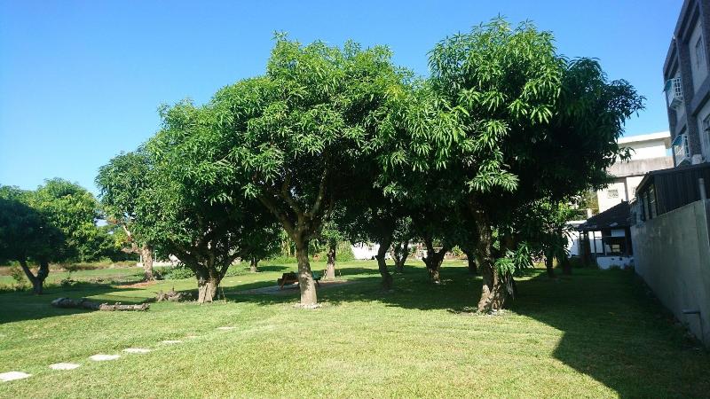 هتل White Pine Village