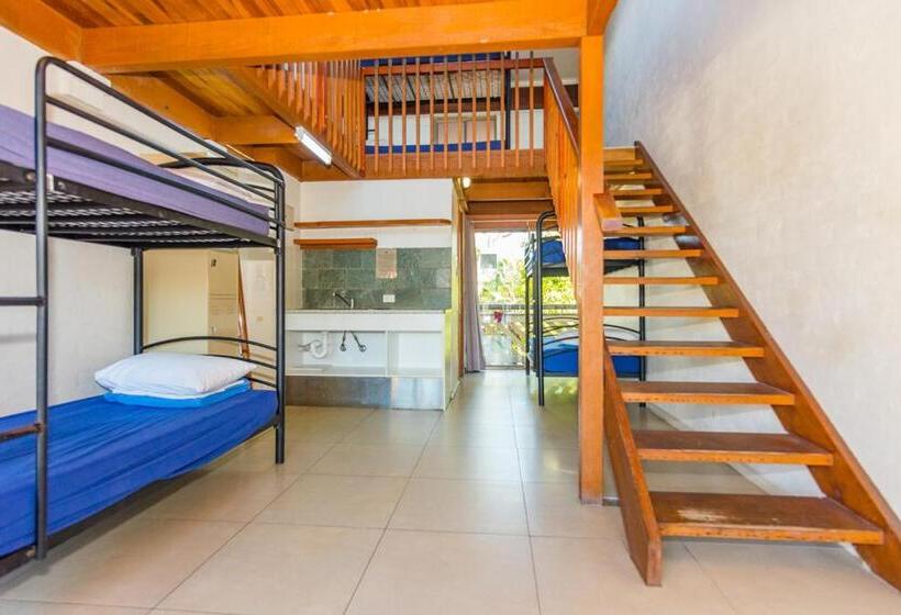 ホテル Aquarius Backpackers Resort