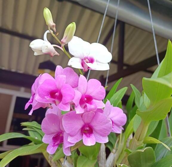 هتل Boonya Resort Koh Chang
