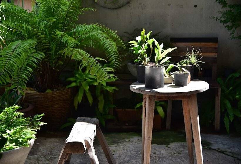 בית מלון כפרי Hosts Huahin   Hostel