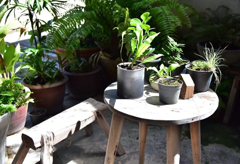 בית מלון כפרי Hosts Huahin   Hostel