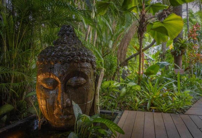 فندق The Palms At Palm Cove
