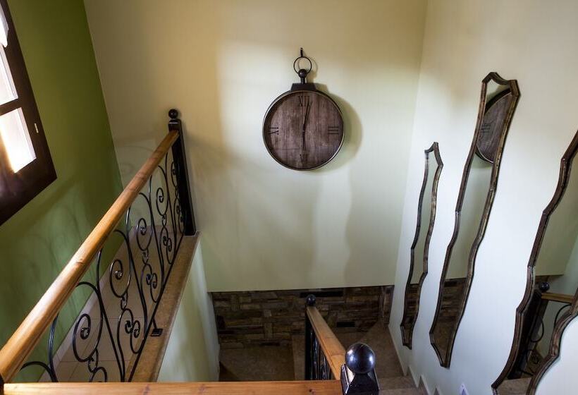 هتل Elaion Terra Boutique Guesthouse