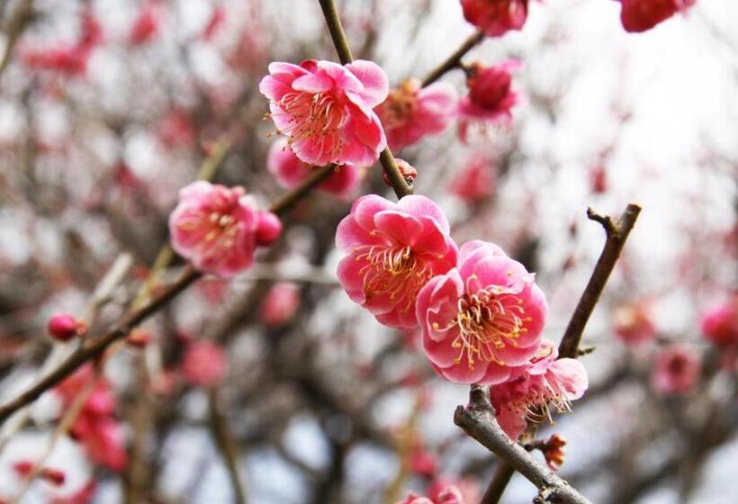 فندق Ikoi No Mura Heritage Minoyama