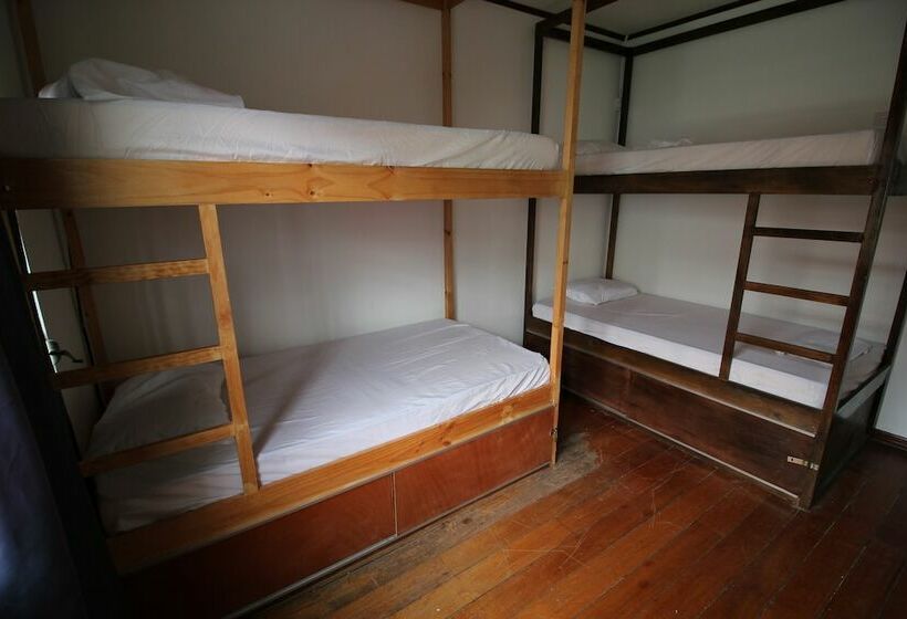 فندق ¡upe! Hostel