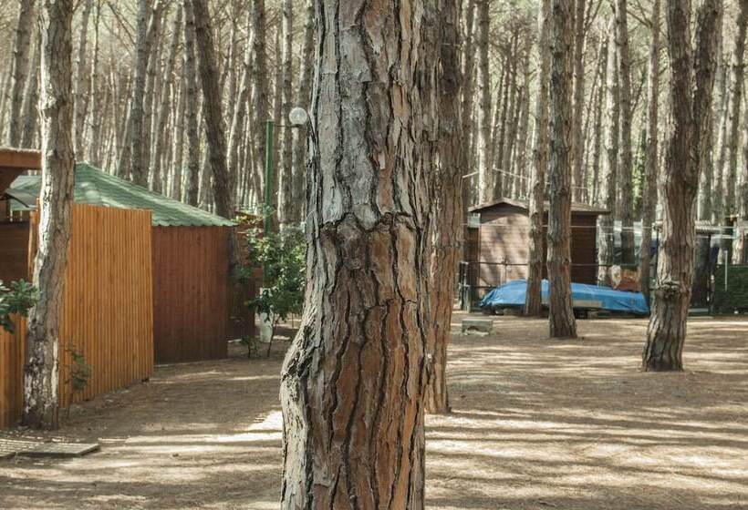 هتل Camping Village Mare Pineta