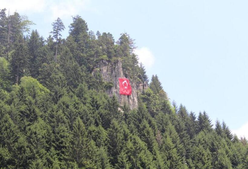 فندق Ayder Resort