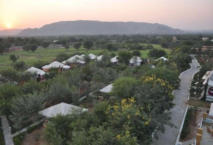 Achrol Bagh
