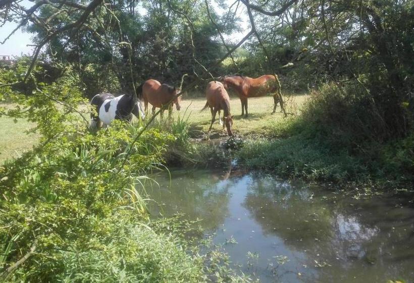 צימר Brampton Dales Farm