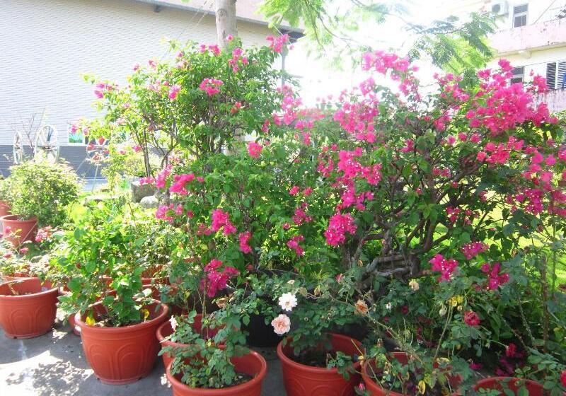 تختخواب و صبحانه Hao Ya Villa