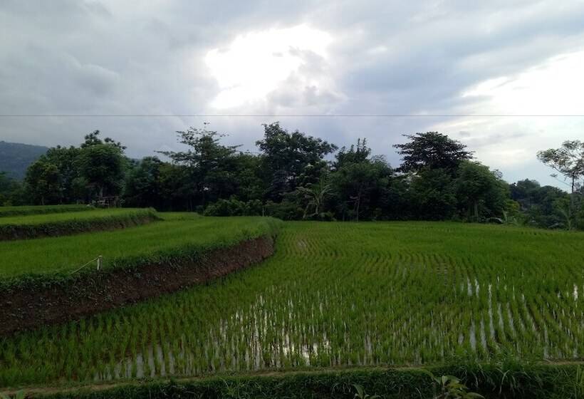 민박 Swar Bali Lodge