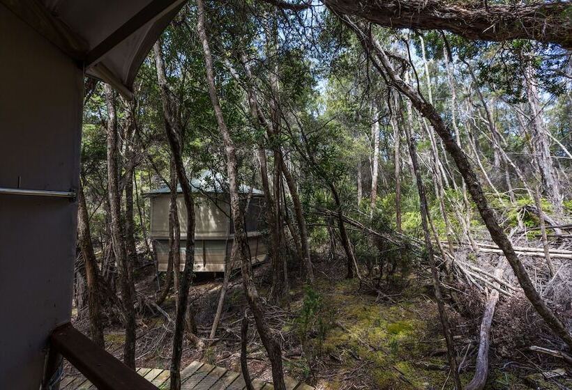 فندق Southwest Wilderness Camp   Tasmania