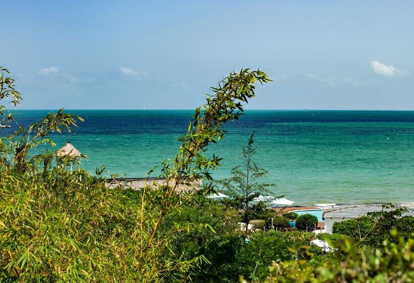 فندق Vilanculos Beach Lodge