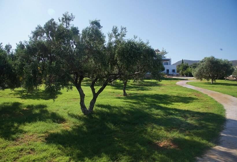 פנסיון Eight Dimensions Capari Suites Elafonisos