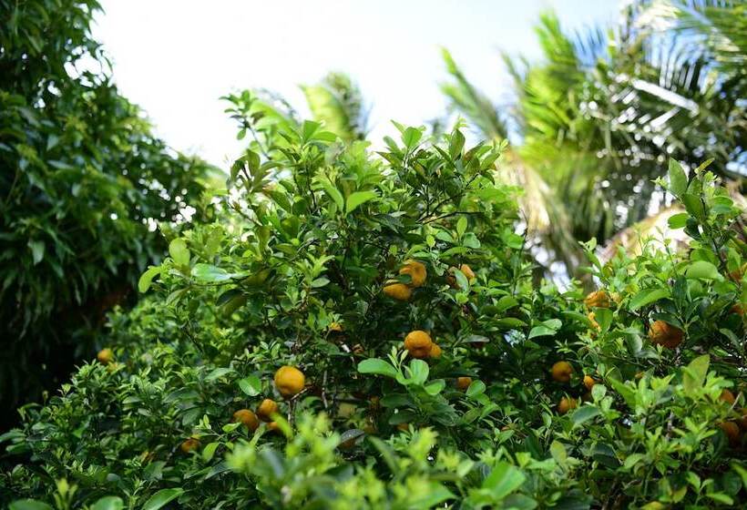 پانسیون Saipan Stay Lounge