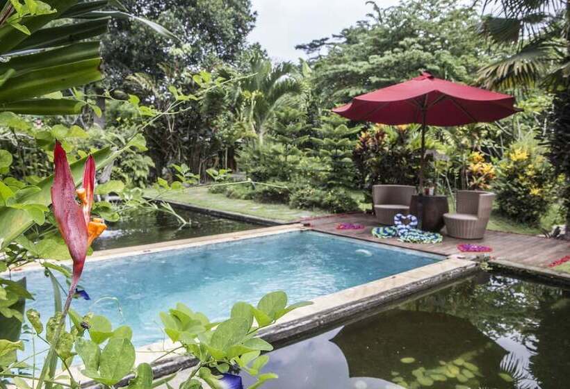 리조트 Avalon Ubud Villas