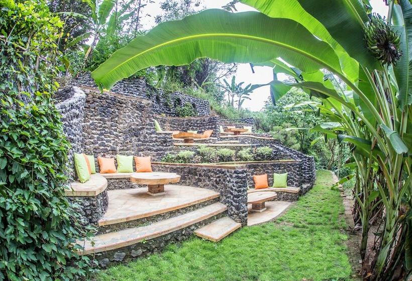 리조트 Avalon Ubud Villas