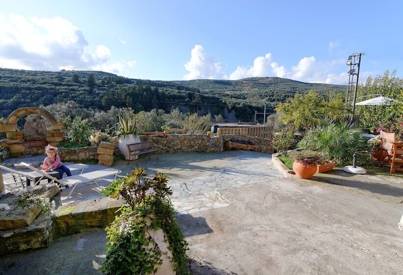 Villa Olive Tree