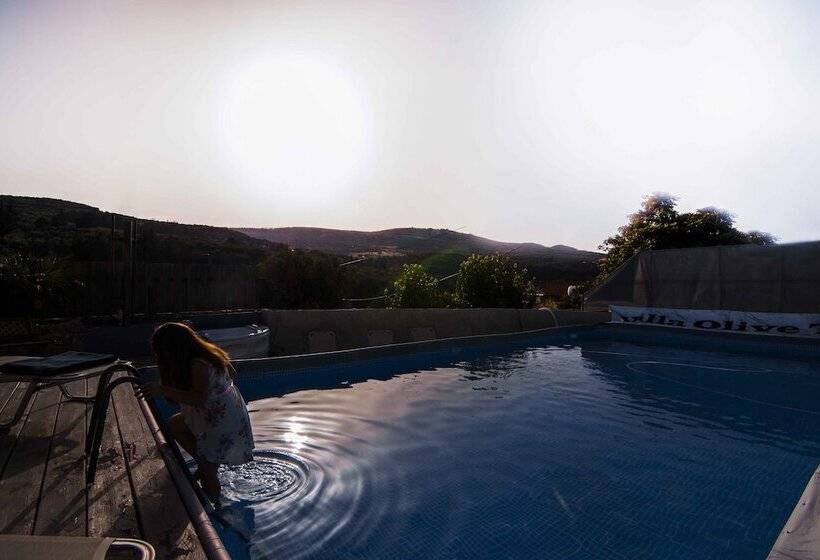 Villa Olive Tree
