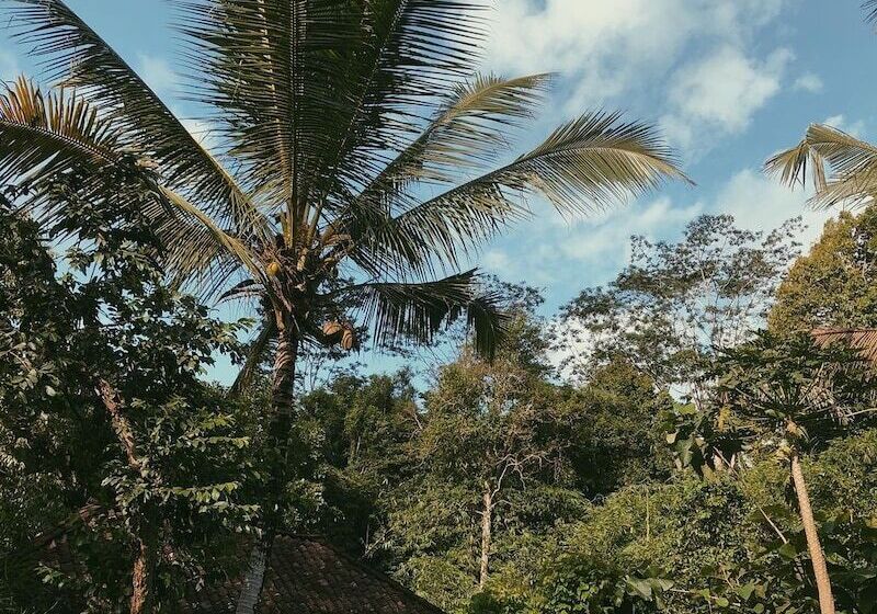 민박 Song Broek Jungle Resort